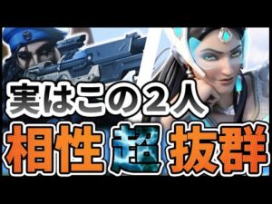 【オーバーウォッチ】アナの弱点を完全になくす事が出来るシンメトラとかいう超相性抜群のヒーロー知ってる？
