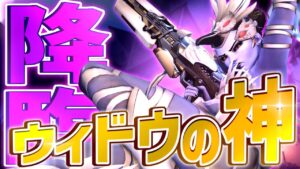 ウィドウの神がコントロールで大暴れ！？じわじわ面白いオーバーウォッチ