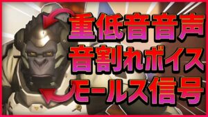 【オーバーウォッチ】この試合効果音多すぎｗｗｗｗ野良タンク二人が騒がしすぎて過去1面白い試合になったｗｗｗ with ソニック10さん