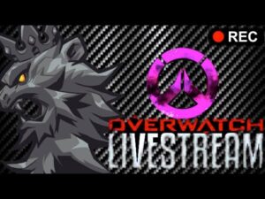 ガイジハルト　オーバーウォッチ