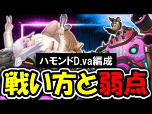 最近話題のハモンドD va構成の戦い方と弱点が分かる試合【オーバーウォッチ】