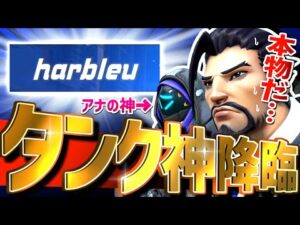 頼もしすぎるタンクの神様！！マイクバリバリの先生に大爆笑ｗｗｗ【オーバーウォッチ】