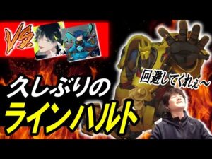 【VS セアナ&ソニック10】久しぶりにラインハルト使ったら味方全員に回避されるレベルでヒド過ぎたｗｗｗ【オーバーウォッチ】