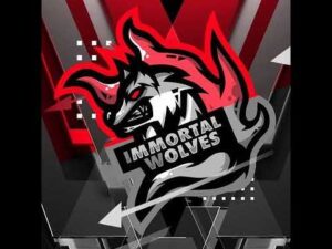 オーバーウォッチ！！誰でも参加おけー！！