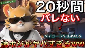 20秒間以上誰にも気づかれずにペイロードを止める最強ポジが強すぎて敵を撹乱させてしまうｗｗｗレッキングボール動画【オーバーウォッチ】