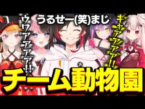 【OverWatch】オーバーウォッチ女子があまりにもうるさすぎる件ｗｗｗ【オーバーウォッチ】