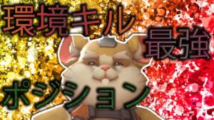 【激選】おすすめ環境キルポジション【オーバーウォッチ】【レッキングボール】