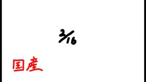 国産　オーバーウォッチ