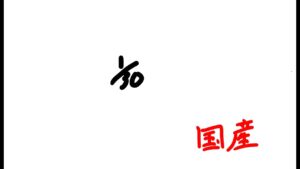 国産　オーバーウォッチ