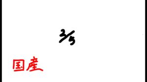 国産　サポやんないと　オーバーウォッチ