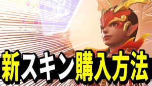 【オーバーウォッチ】VPN(Exit lag)を使ってリーグスキンを購入する方法