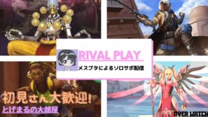 お昼ご飯のお供にして！　オーバーウォッチ