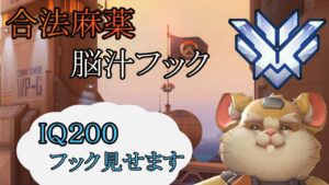 【気持ちい】IQ200の先読みフック!!【レッキングボール】【オーバーウォッチ】