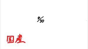 国産　オーバーウォッチ