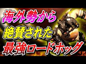 【神回】海外プレイヤーに絶賛されたロードホッグのプレイ動画【オーバーウォッチ】
