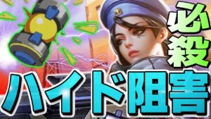 【オーバーウォッチ】ナノが無くてもキャリー可能！？これが阻害の真骨頂！！！