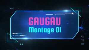 【オーバーウォッチ】がぅがうclip