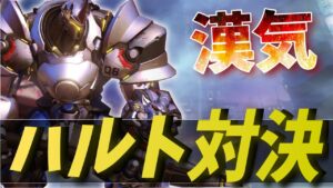 これぞタンクの熱き戦い！ラインハルト同士の殴り合い対決が楽しすぎるww【オーバーウォッチ】