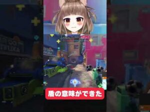 置きっぱなしにしていた盾【オーバーウォッチ2】