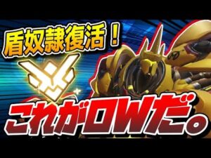 【盾奴隷】グラマス帯で珍しくラインハルトを使ってみたら最高に楽しかった！ 【オーバーウォッチ】