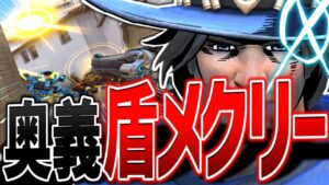 さようならフラッシュバン、6年間ありがとう。【オーバーウォッチ】