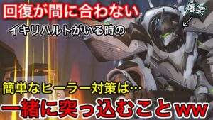 【爆笑】ラインハルトが常に突っ込んで回復が間に合わない時のヒーラー対策は・・・一緒に突っ込むことｗｗｗ超楽しかった試合【オーバーウォッチ】