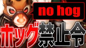 ロードホッグを使いたいからお願いしてみた結果・・・【オーバーウォッチ】