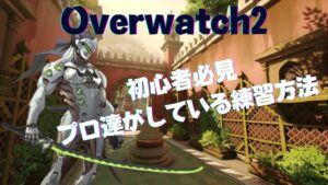 【オーバーウォッチ2】初心者オススメ！！上級者並みに強くなりたいなら見ろ!