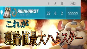 【パワーオブパワー】絶対に気持ちよくなれます。これが理論値最大ハムスター！！【レッキングボール】【オーバーウォッチ2】