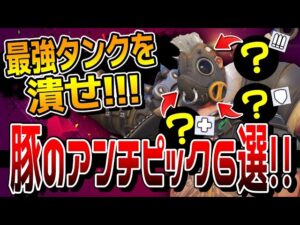 【豚対策】現環境最強なロードホッグを止める各ロールのアンチピックを紹介!! 【オーバーウォッチ2】