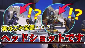 【オーバーウォッチ】このゲームのヘッド判定のガバさは異常！？最も当てやすい4人衆は誰だ！