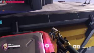 オーバーウォッチ動物園　プラチナ　マーシー専　低画質