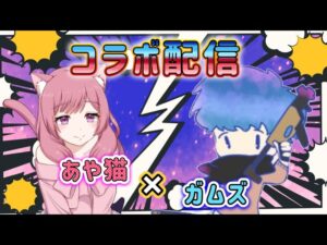 【オーバーウォッチ2】ガムズさんとコラボ✨人数増えたらカスタムやります🐈🐾