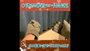 シグマを目指す一般男性 【オーバーウォッチ2】 #shorts