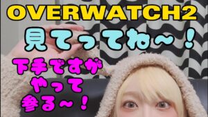 現在サポプラ4オーバーウォッチ2【OVERWATCH2】