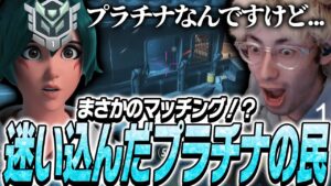 グラマスとプラチナがごちゃまぜになったマッチに迷い込んでしまったta1yo【Overwatch2】