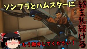 【オーバーウォッチ２】とっとこ暴れるハムスターとハックする透明な子に絡まれるハンゾーがしんどい【ゆっくり実況】