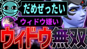 【OW2】ウィドウメイカー使うなら心臓に毛を生やせ【オーバーウォッチ2】