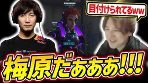 プロゲーマー梅原大吾に目を付けられてしまうYamatoN【Overwatch2/オーバーウォッチ2】