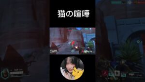 喧嘩中の猫( ΦωΦ )     #オーバーウォッチ2 #ow2 #short #shorts