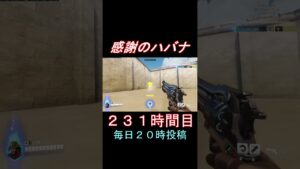 感謝のハバナ231時間目 #shorts #overwatch2 #オーバーウォッチ2 #apex #valorant